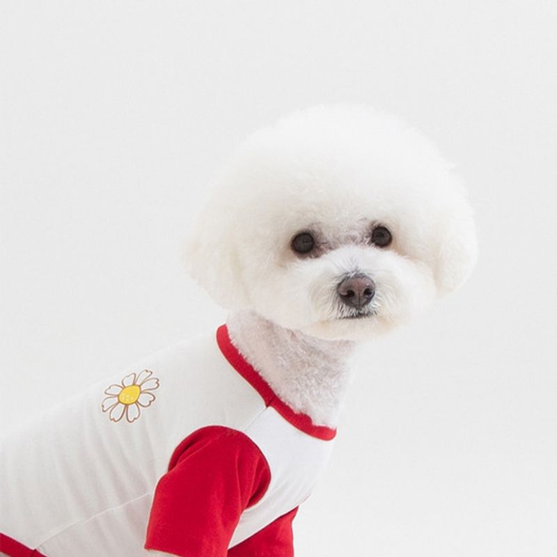 T-shirt graphique foreverybari (rouge)