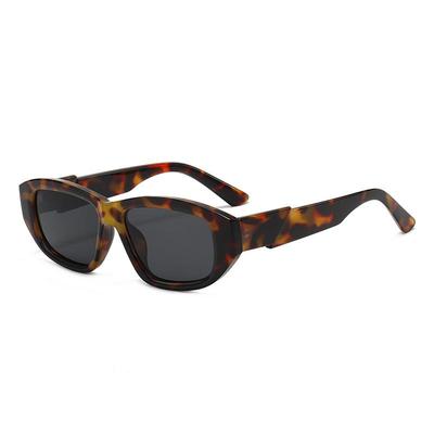 2026 Trendy Unisex Cat Eye Sunglasses - European & American High-End Retro Fashion