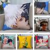The Summer Hikaru Died Cushion Cover Soft Plush Fabric DoubleSided Printed Sofa Cushion Cover for All Seasons Home Decor Gift