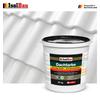 IsolBau Roof Paint Dachfarbe White 25