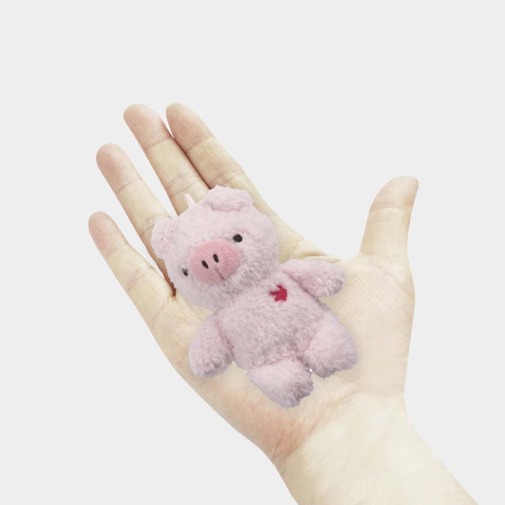 Skater Plush Ball Chain Mascot Pompon's Pig ZBCM1-A