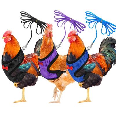 Harnais de poulet gilets réfléchissants taille de poule avec ceinture assortie confortable respirant petite taille adapté au poulet canard