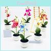 Potted Simulated Phalaenopsis Artificial Artificial Flower Ornament Desktop