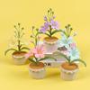 1PC Crochet Flower Finished Product Hand-knitted Creative Desktop Ornament Handmade Wool Woven Flowers Mars Orchid Pot