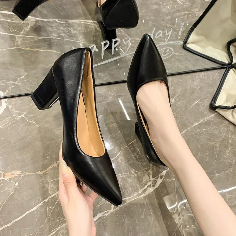 Spring Autumn Large Size High Heels Pointed Toe Thick Heel Fashion Work Shoes Elegant Personality Single Low Heel Shoes