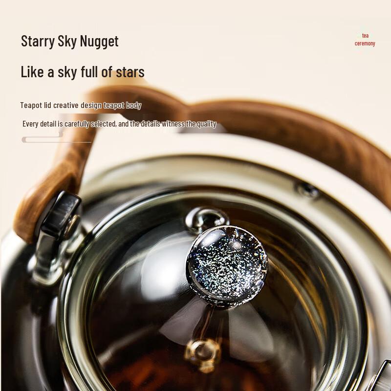 High Borosilicate Glass Steaming & Boiling Teapot