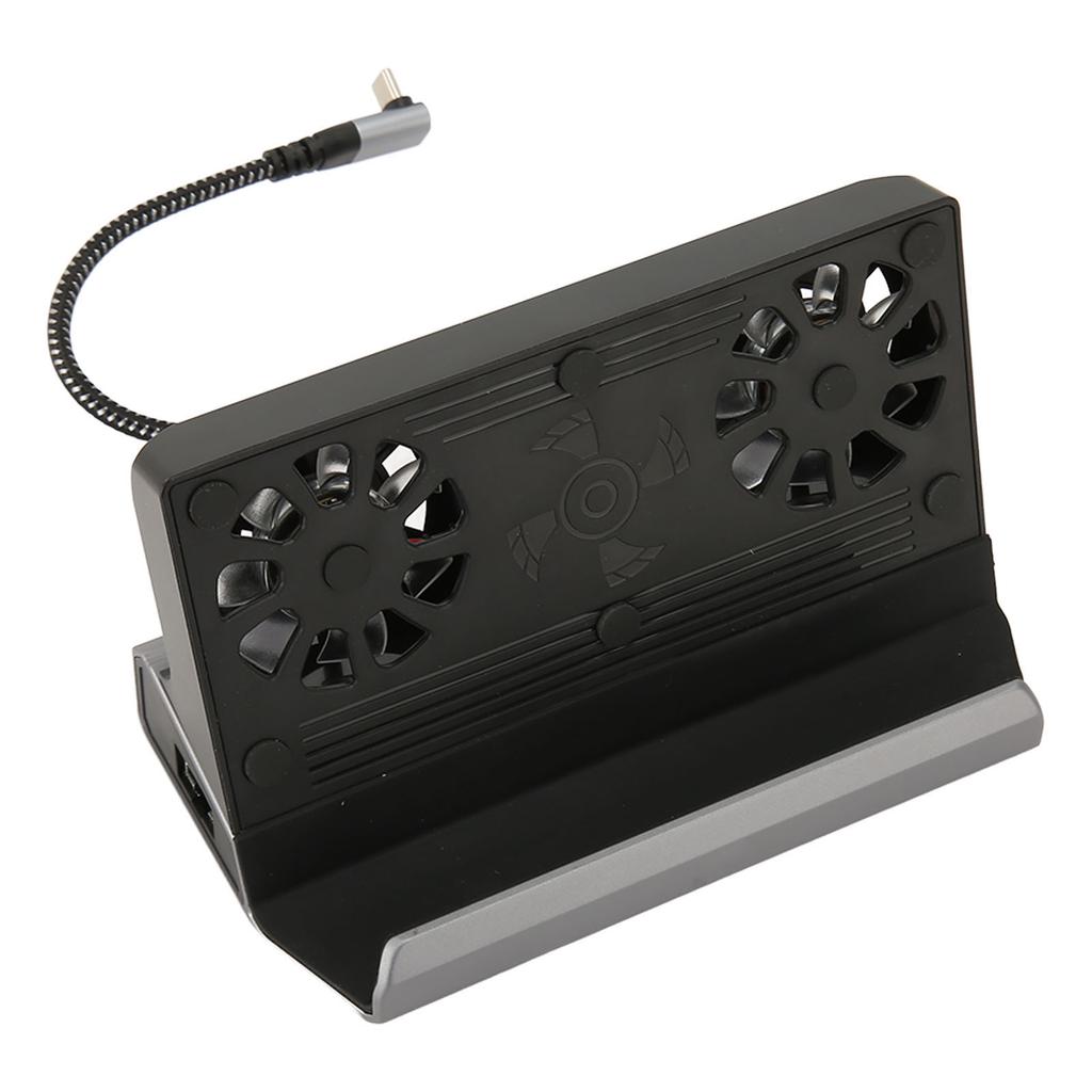 for Steam Deck Docking Station 10 in 1 for Rog Ally Dock with 5 USB 3.0 2.0 Dual Cooling Fan HD Multimedia Interface 4K