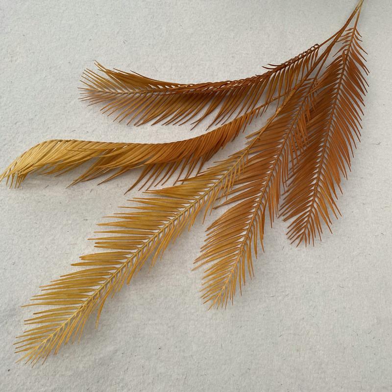 Texture Foliage Fern For Indoor Decoration Wedding Photography Props Gift