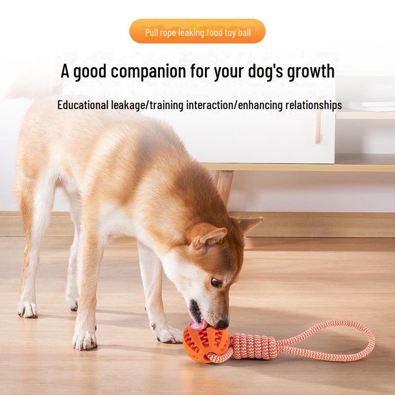 Watermelon Rope Ball Toy: Teeth-Cleaning Cotton Rope for Dogs & Cats, Leaking Food Ball and Chew Toy