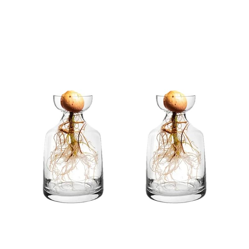 Four-piece Avocado Seed Starter Vase- Grow Your Own Avocado Tree Unique Glass Planting Pot for Gardening Lovers Start Your Green