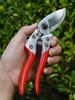SK5 Stainless Steel Pruning Scissors Gardener Grafting Tool Floral Fruit Tree Branch Cutting Shears for Picking