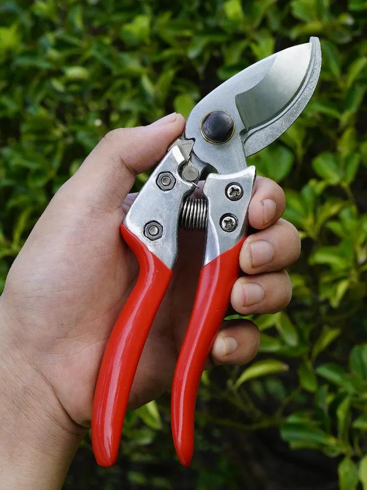 SK5 Stainless Steel Pruning Scissors Gardener Grafting Tool Floral Fruit Tree Branch Cutting Shears for Picking