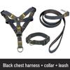 Multi-Size Dog Leash & Collar Set for Walking - Suitable for Small To Large Breeds
