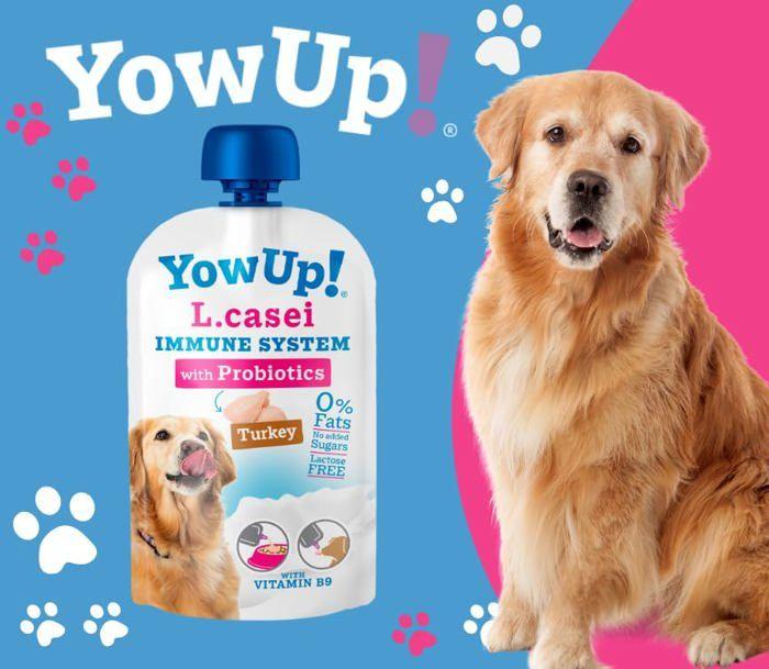 Soutien Immunitaire Pour Chiens - YowUp! - Probiotiques L. Casei - Dinde - 10 Paquets De 115 G