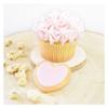 Powdered Food Coloring - Dragée - SCRAPCOOKING - 10 G