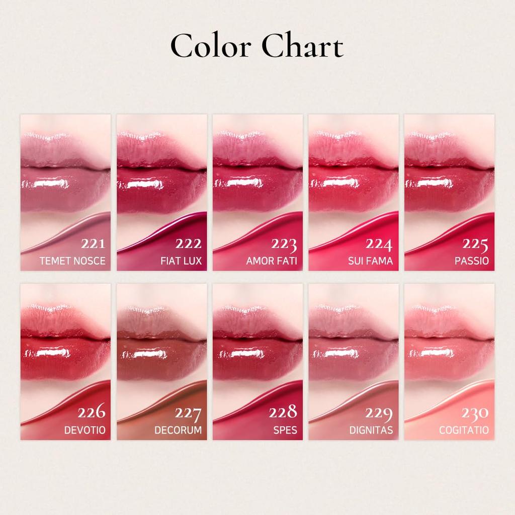 Dinto Blur Glow Lip Tint Korean Cosmetics Memento Glossy Lip Tint with High and a Plump Popular Perfect [Official Dinto] 3.5g (218 Mori) Pigmentation,