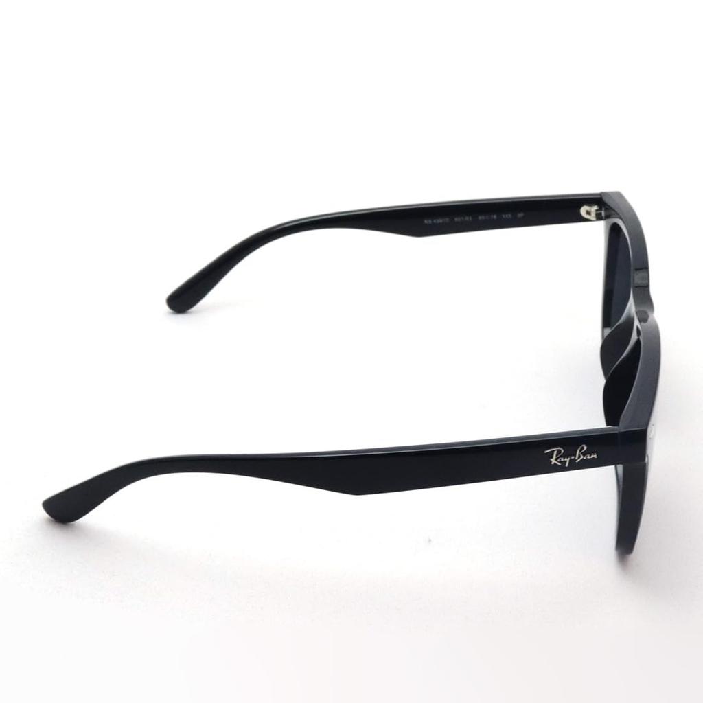 Sunglasses RB4391D BLACK 65 Ray-Ban