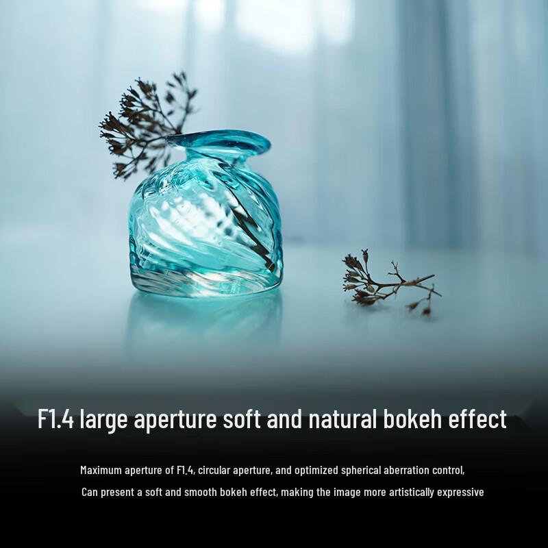 SONY E 15mm F1.4 G Wide-Angle Prime Lens