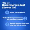 DermiCool Shower Gel 250ml Pack of 1 With Triple Cooling Action And Germ Protection For Summer Relief