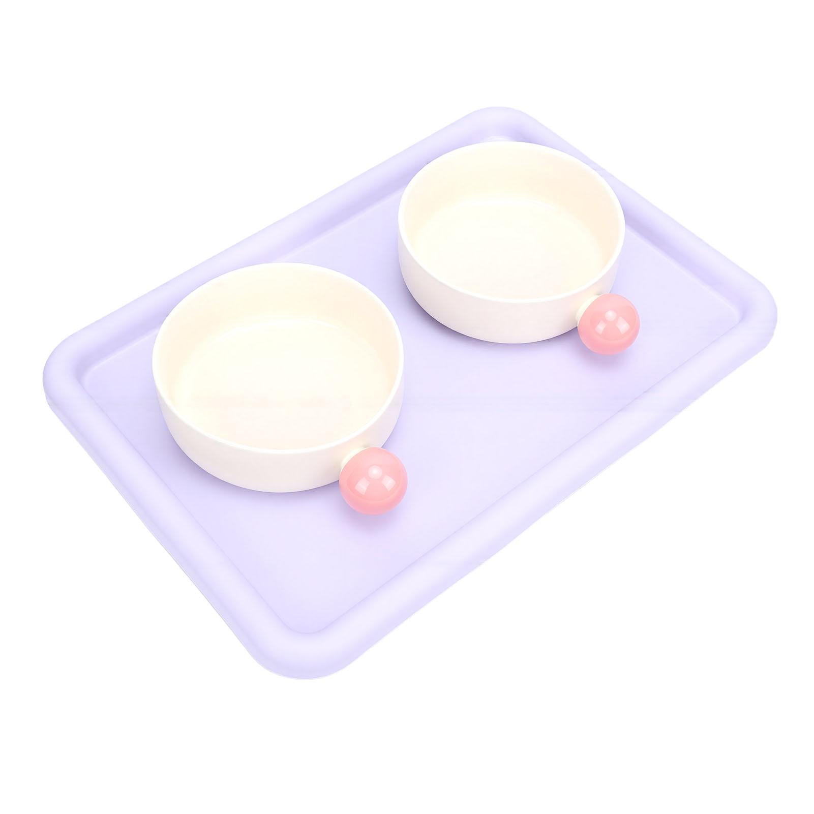Elevated Cat Food and Water Bowl Set Ceramic Food Dishes Anti Slip Raised Pet Food Bowls for Dogs Cats