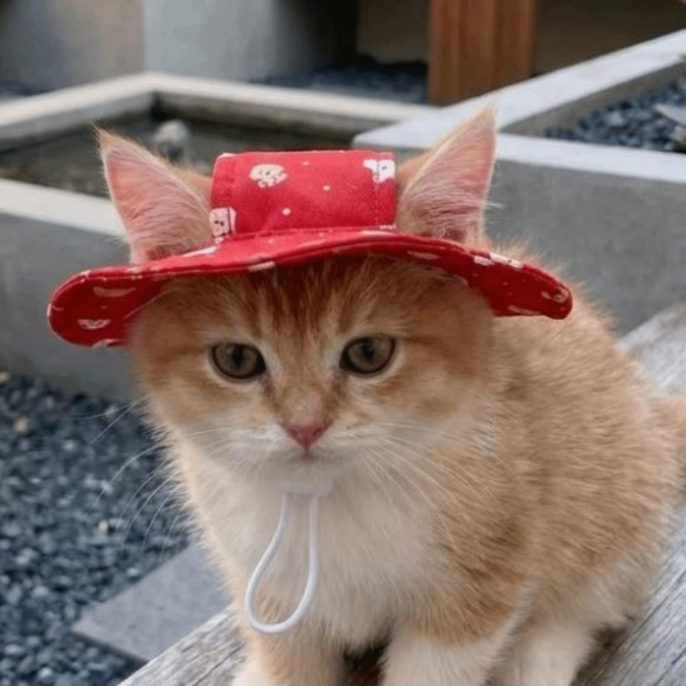 Cartoon Print Cat Bucket Hat Adjustable Pet Sun Cap Cute Dog Fisherman Hat Small Dogs Cats