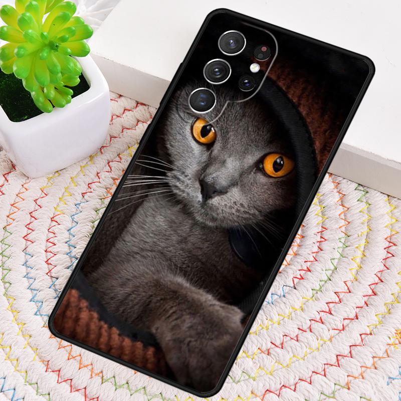 Grey British Shorthair Cat Silicone Phone Case For Samsung Galaxy note 10 pro S26 S25 S24 S23 S22 S21 Plus S25Ultra Capa Cover