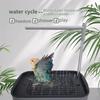 Low-Noise Design Electric Bird Bath Tub USB Electric Bird Shower Fountain  for Parrots