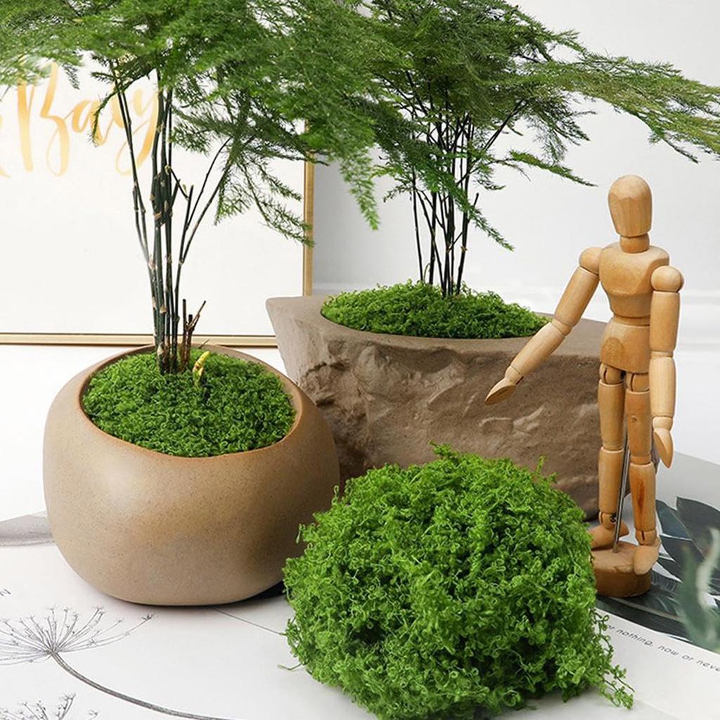 50/200g Artificial Moss For Decorating, Artificial Moss Decoration Moss For Crafts, Art Moss, Fake Decorative Moss For Aquarium