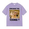 Erm What The Sigma Funny Cute Meme Graphic T Shirt Unisex Women Fashion Oversized T Shirts Humor Style Short Sleeve Tops Tshirt