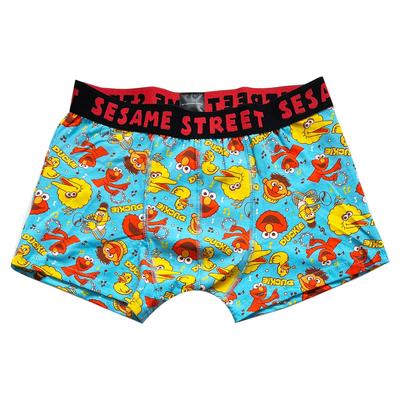 Small Planet Sesame Street Boxer Briefs Music M