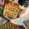 S-stardew Valley Cushion Cover Pillow Cover Decor Pillowcase Printed Cushion Case For Couch