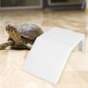 Aquarium Accessory for Turtles Featuring a Climbing Ramp and Basking Zone
