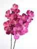 Artificial Vanda Orchid Flowers Real Touch Fake Orchid Folral Arrangement  Realistic Decorative Vanda Flower