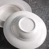ZhiShi Ceramic Western Pasta Dinner Plate