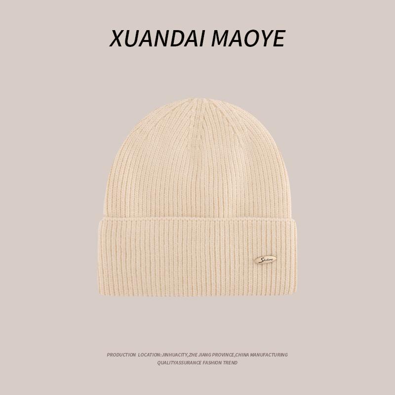 Autumn and Winter Casual Hats for Women Plush New Korean Knitted Hats Versatile Warm Ear Protection and Thickened Fashion Student