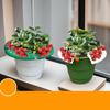 Strawberry Holder Cradles for Garden 4 Piece Rack Support Growing Protector Cage Stand for Fruit Gardening Potted Planter