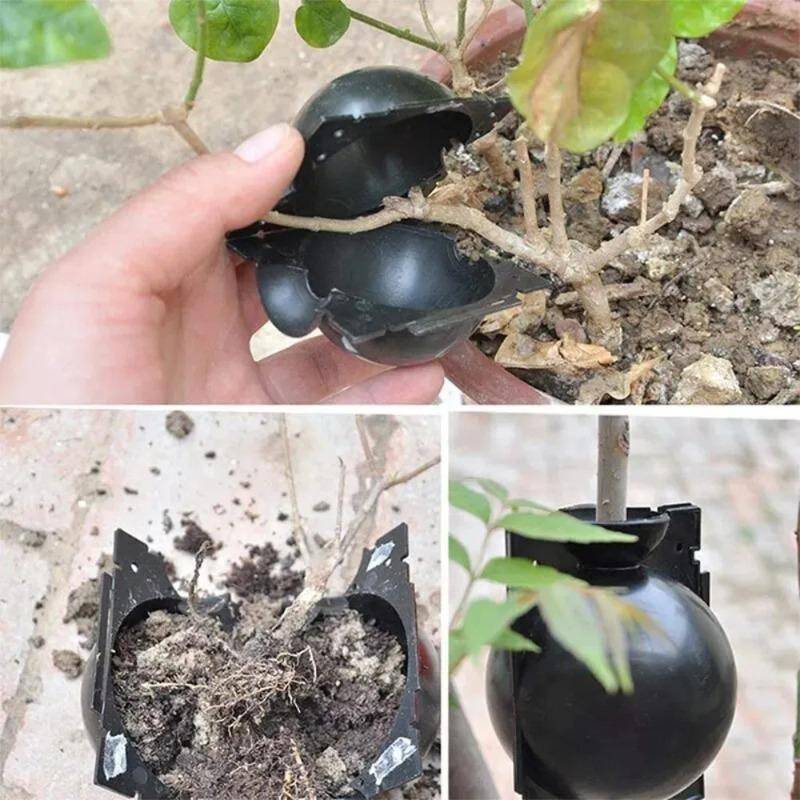 10PCS Reusable Plant Rooting Ball Transplant Nursery Ball Sapling Propagation Grafting Breeding Case for Home Gardening Accesorries