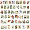 50Pcs Transparent Cartoon Vintage Plant Stickers Pack for Waterproof PET Decoration Guitar Notebook Scrapbook Stickers