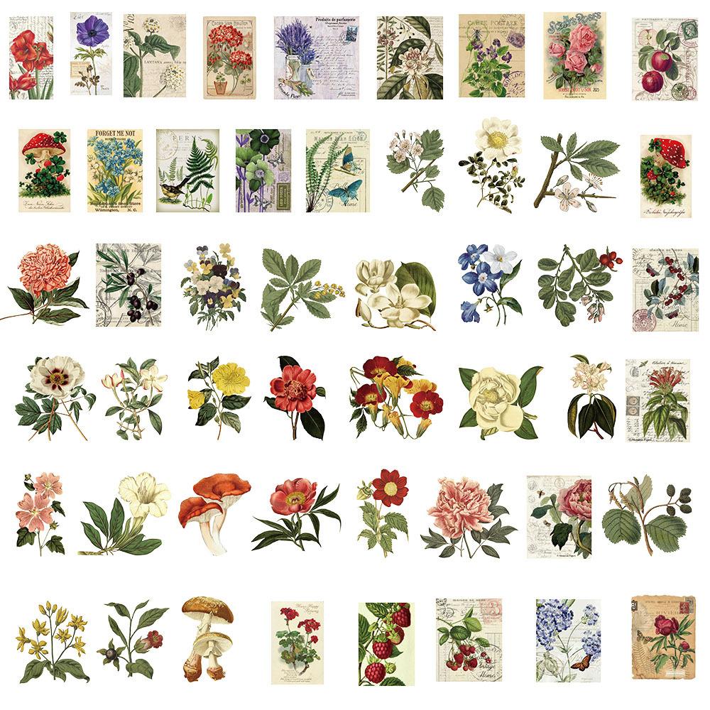 50Pcs Transparent Cartoon Vintage Plant Stickers Pack for Waterproof PET Decoration Guitar Notebook Scrapbook Stickers