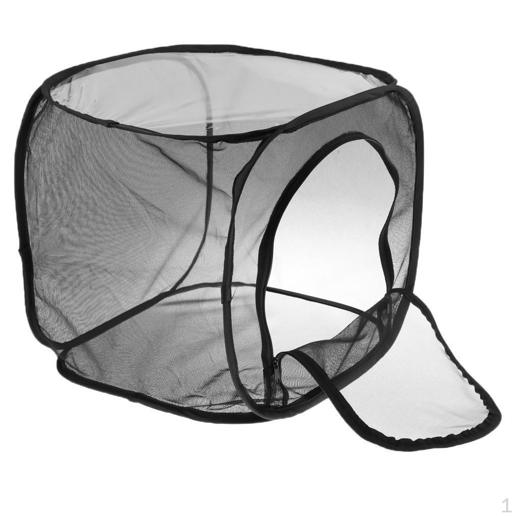 Cheap Foldable Insect and Butterfly Habitat Net Terrarium Breeding Cage