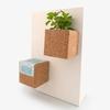 Magnetic Grow Cube Thought