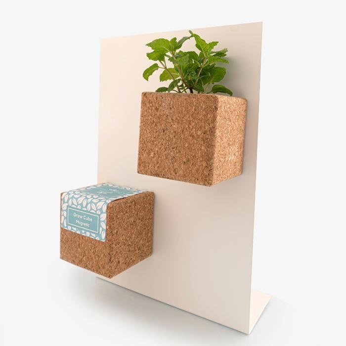 Magnetic Grow Cube Thought