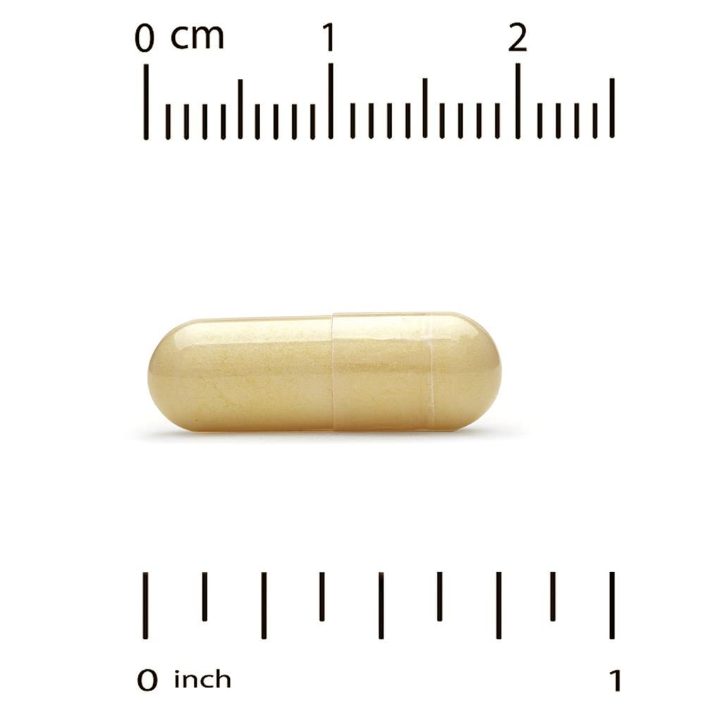 Detox Support With Milk Thistle Extract, Picrorhiza Root Extract, Turmeric Extract, Dandelion Powder And Digestive Blend, 60 Veggie Capsules