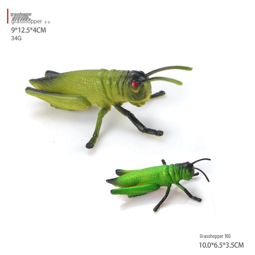 Children's Cognitive Teaching Toys: Insect Models - Butterfly, Ladybug, Rhinoceros Beetle, Bee, Grasshopper