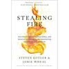 Stealing Fire How Silicon Valley Paperback US -M86