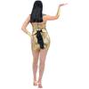 Fever Womens/Ladies Egyptian Costume Set
