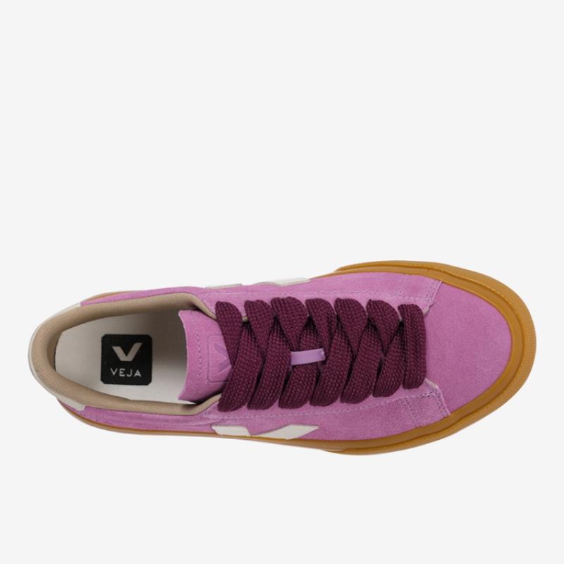 Veja Women S Sneaker Campo Suede  Svjf243cp03 691 