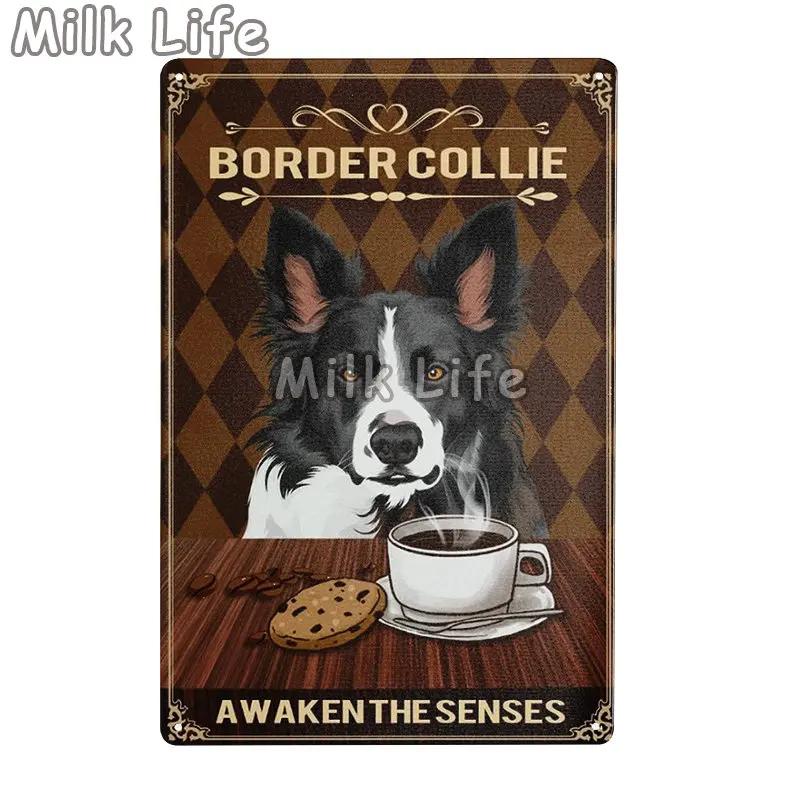 Metal Tin Sign Vintage Funny Border Collie Dog for Coffee Bathroom Toilet Pet Shop Home Sweet Home Sign Bedroom Art Wall Decor