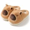Women's Men's Winter Insulated Slippers Kapybara Gresni 36/37