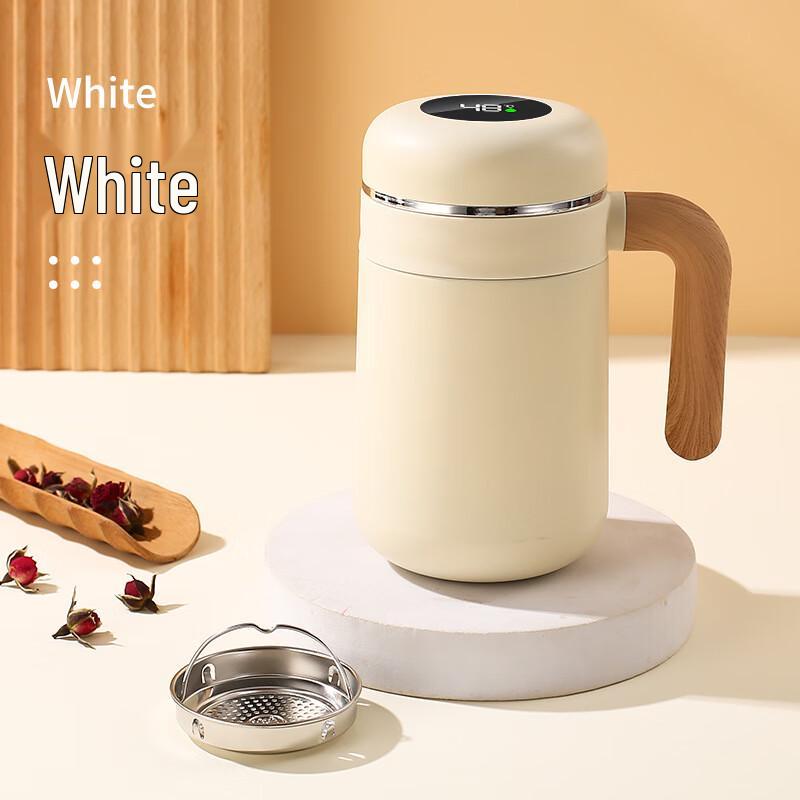 Shuixi (SX) 316 Stainless Steel Insulated Tea Infuser Cup with Handle